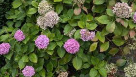 Piso de Lujo en Salinas - Foto 4, Garden view