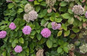 Piso de Lujo en Salinas - Foto 4