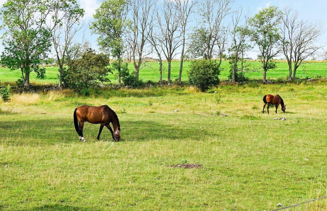 8 Person Holiday Home in Kopingsvik - Foto 31