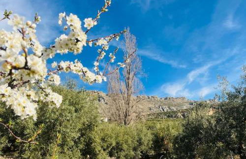 Casa Rubito el Olmo - Foto 9