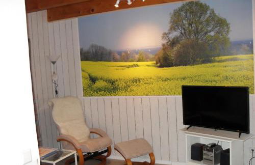 ostseeurlaub-asmussen - Foto 33