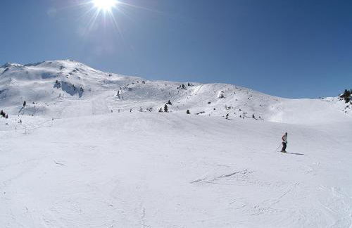 Casa Reit - Photo 46