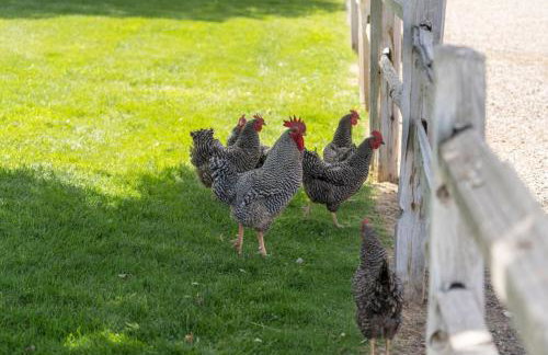 Uncle Terry's Cabin - Foto 31