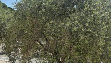 14484 deux pièces élégant et central - Foto 2