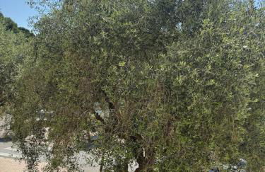 14484 deux pièces élégant et central - Foto 2