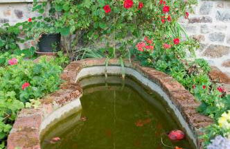 Fancornio Rural - Photo 15