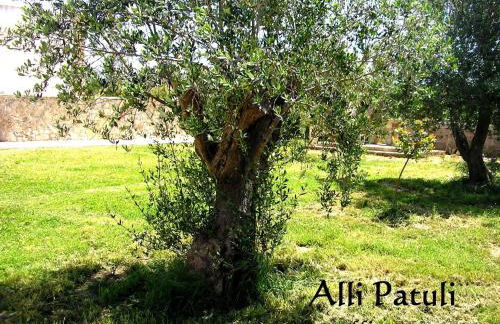 AlliPatuli Apartments - Foto 50