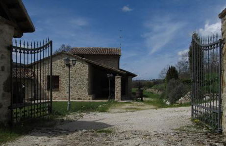 Il Vignale - Foto 17