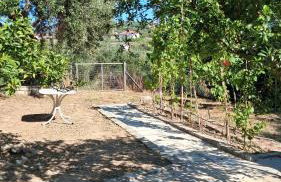 Aeria View - Foto 57