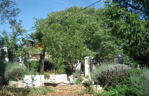 Apartmani Tijano - Photo 46