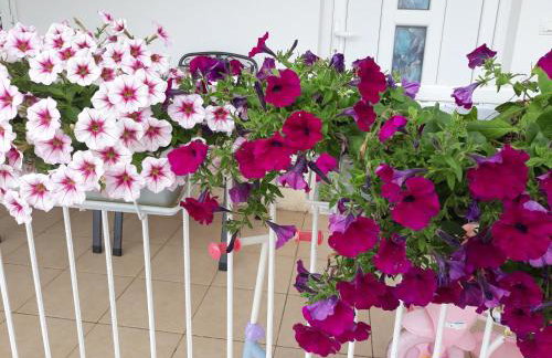 Apartments Ljube - Foto 14