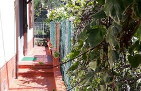 Amaryllis Case Vacanza - Photo 28