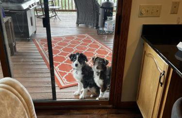 Bear's Mountaintop Home with Gorgeous Lake Views chalet - Foto 49