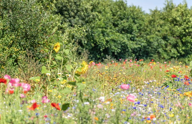 "Richard" - 4km from the sea - Foto 9