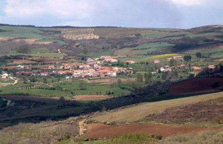 Casa da Fonte de Travanca - Foto 8