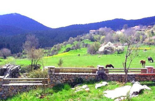 Elati Hills - Photo 40