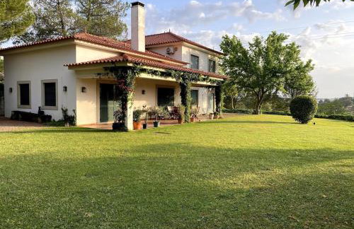 Casa do Campo - Castelo Branco - Foto 14