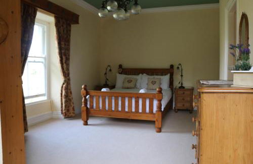Cae'r Blaidd Country House - Foto 14