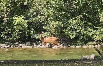 Tony's Riverside Oasis - Foto 39