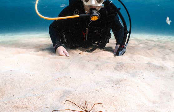 Immersione per principianti a Costa Teguise - Foto 9