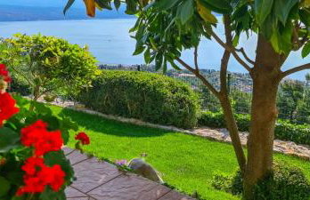 Apartments Villa Krasa - Foto 17