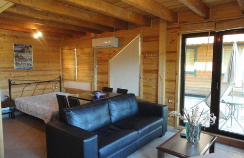 Zeus-Village οικισμός φινλανδικών chalet με πισίνες & γυμναστήριο - Foto 55