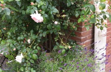 Ferienwohnung von Luehmann - Foto 18