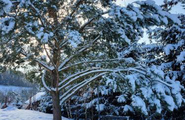 Huberkowe Domki - Foto 36