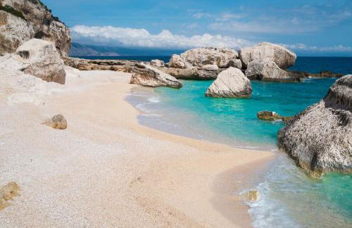 Orchid House - Foto 23