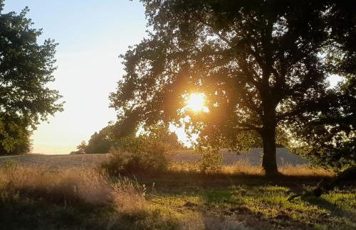 Dammann's Hof - Foto 27