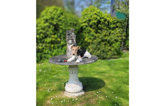 No Title Modern Retreat - Photo 14