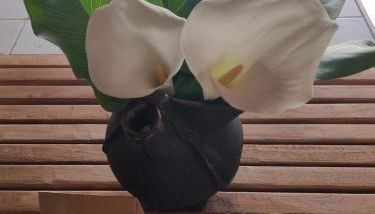 UN RINCÓN EN LA MORAÑA - Photo 4