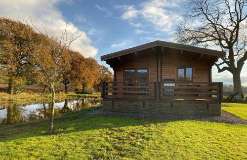 RedWood Lodge - Photo 7