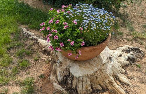 Buen Estar, piscina, barbacoa, jacuzzi en Valencia - Photo 23