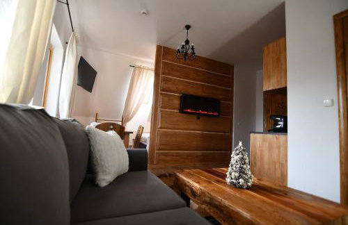 Apartamenty Rogowcówka - Foto 6