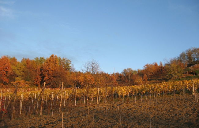 Agriturismo Cascina Tollu - Foto 46
