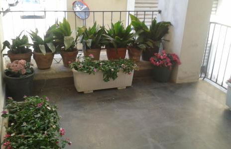 Gli dei e le Rose - Foto 44