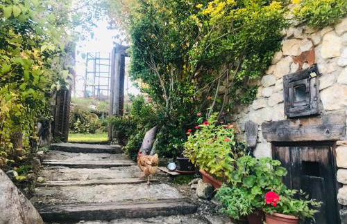 Casas Rurales Chon Alto Tajo - Foto 79