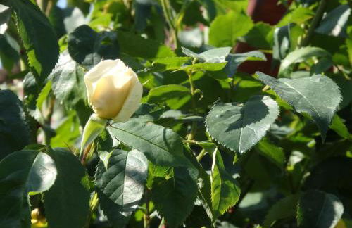 Lieblingsplatz - Foto 25