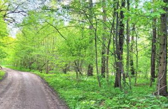 Tymek - domek - Foto 23