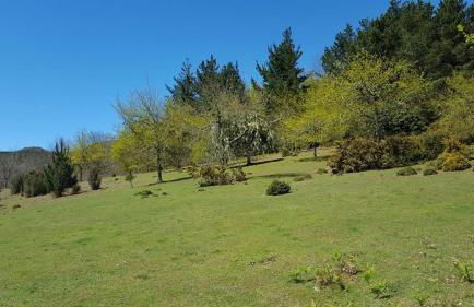 Quinta O Refúgio - Foto 69