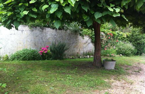 Gîte des petites Poules rousses 9 personnes Zoo Parc Beauval Saint Aignan et Châteaux de la Loire - Foto 9