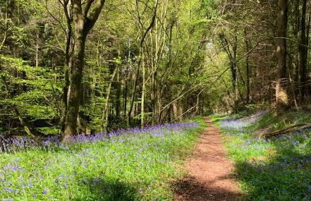 Chic 2-bedroom townhouse in vibrant Abergavenny - Foto 22