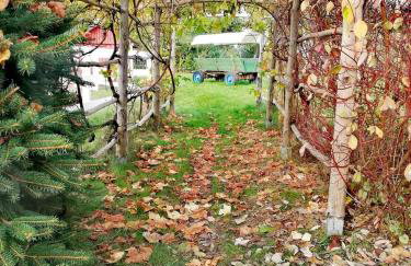 Babie Lato - Foto 18