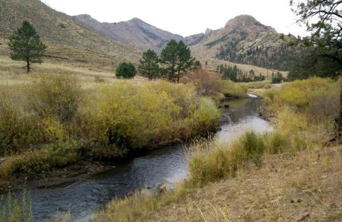 Enchanting Cabin Rental near Colorado Springs, Colorado - Foto 18