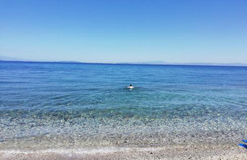 Fotis Apartments - Foto 1