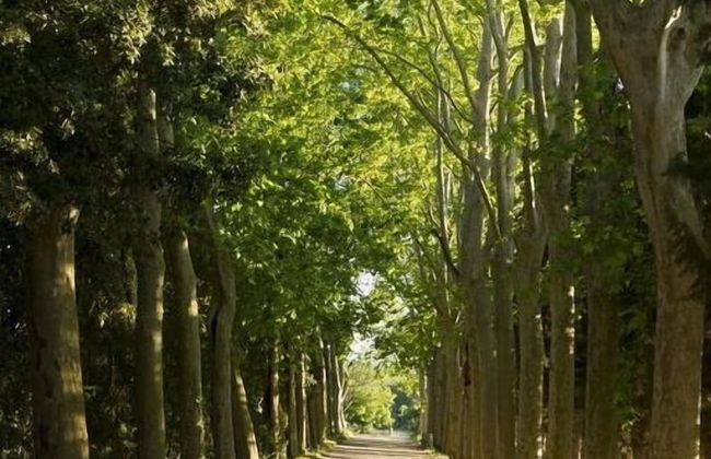 Gîtes Pech-céleyran - Photo 36