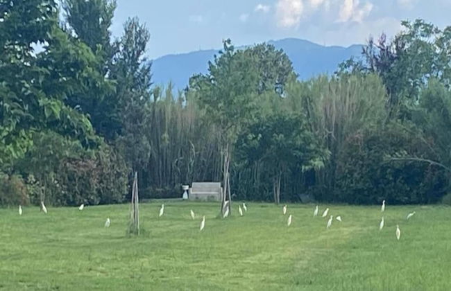 Modern Apartment in Agliana With Shared Garden - Foto 40