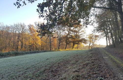Manoir Périgord Noir/Piscine chauffée/Etang&Forêt - Photo 39