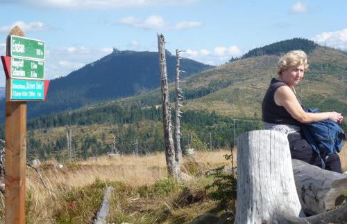 Ferienwohnungen Anneliese&Fritz Wagerer - Photo 28